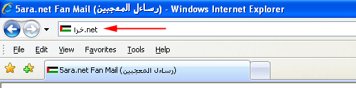 Internet Explorer 7 with 5ara.net